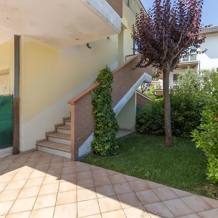 Albatros * מרצ'לי