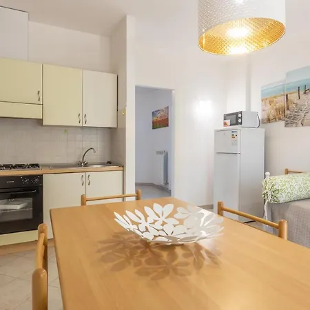 Albatros * מרצ'לי